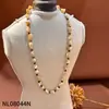 Acessórios de Colar de Concha de Abalone para Mulheres, Corrente de Suéter Versátil para Outono e Inverno, Colar de Luxo Leve e de Alta Qualidade, Acessórios de Design de Nicho