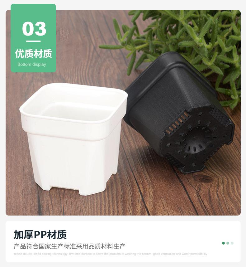 详情页(2)_13