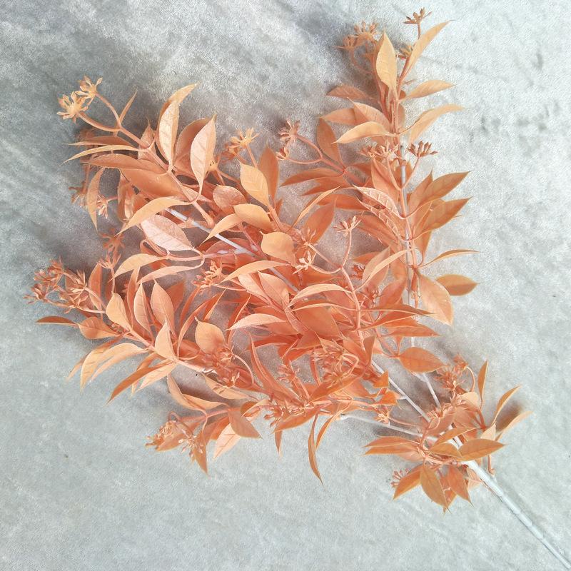 水芙蓉2号浅橘色