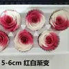 Rosa eterna de 5-6 cm de doble color, flor Tanabata, regalo de San Valentín, Navidad, cumpleaños, caja de regalo, materiales de regalo