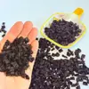 Ciruelas pasas en cubos grandes sin hueso, ingredientes para hornear snacks, cubos de fruta agridulce para rellenos de horneado