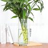 Jarrón de Vidrio con Patrón Sencillo Más Vendido Transfronterizo para Arreglos Florales de Escritorio, Jarrón de Alta Gama para Plantas Verdes, Al por Mayor en Stock