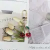 Llavero de Cereza de Aleación Creativa Transfronterizo Colgante de Bolsa de Chica Cereza Simulación Colgante Pequeño Regalo Venta al por Mayor