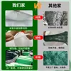 Fundas transfronterizas para protección contra heladas de plantas, fundas para árboles de otoño e invierno, bolsas para protección contra heladas de plantas, fundas no tejidas para protección contra heladas de plantas y telas aislantes
