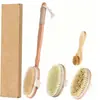 Set de 4 cepillos secos