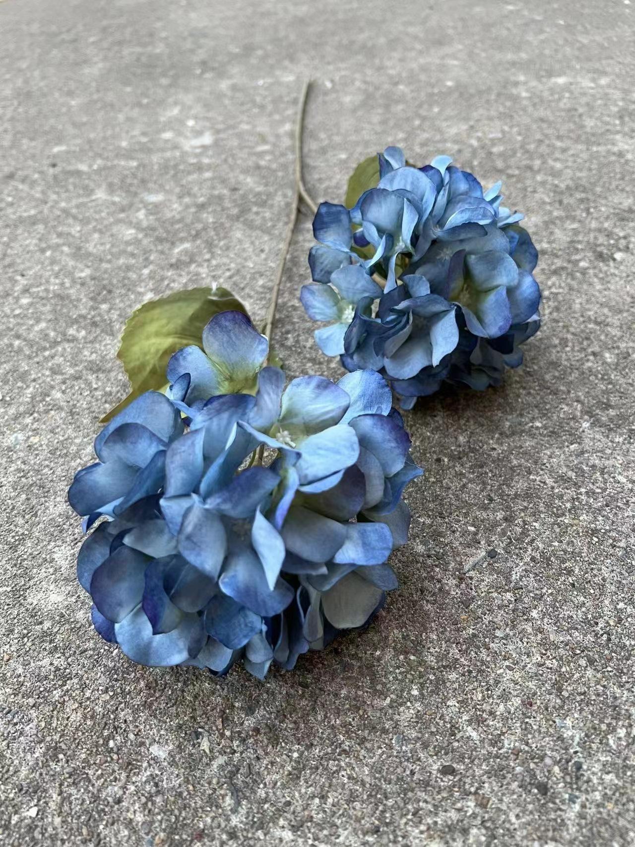 微信图片_20230105181412