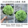 Fabricante de Flores Artificiales para Bodas Verdes Hortensia Verde Rosa Rocío de Golondrina Loto Bola de Cebolla Decoración Suave para Bodas Flor Artificial al por Mayor