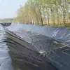 Membrana anti-filtración para estanques de peces, presa de relaves, geomembrana para biodigestores, membrana impermeable para estanques de peces, estanque de almacenamiento de agua, membrana anti-filtración para estanques de lotos
