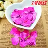 18X19Mm Concha Láser Lentejuelas Coloridas Abalorios Hechos a Mano para DIY Accesorios de Ropa para DIY Ropa de Espectáculo Accesorios Brillantes