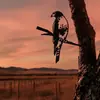 Suministro Transfronterizo de Estación Independiente Silueta de Pájaro Búho Colibrí Pájaro Carpintero Petirrojo Serie Silueta de Pájaro Enchufe para Jardín