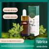 Óleo Essencial de Losna Atacado Salão de Beleza Raspagem Massagem Tipo Conta-gotas de Óleo Essencial Massagem Universal para Todo o Corpo Óleo Essencial de Losna