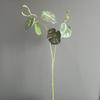 Material de folha de planta simulada 2 garfos Monstera Deliciosa Modelo de casa escandinavo Decoração de quarto para casamento Arranjo de flores Atacado