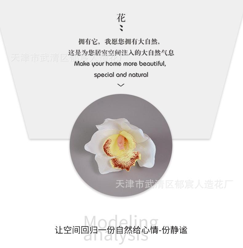 详情_04.png