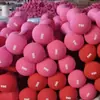 Fábrica direta osso haltere senhoras casa fino braço haltere feminino plástico mergulho ferro fundido fitness haltere atacado