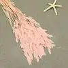 Flor mágica hierba de la pequeña esperanza eterna ramo flor real Natural Alto sentido ins estilo nórdico sala de estar decoración jarrón Flor eterna