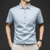 Camisa Masculina de Manga Curta de Seda de Amora de Alta Qualidade para o Verão, Tamanho Grande, Luxo Leve, Seda Genuína, Casual de Negócios, Cor Sólida, Não Amassa, Resistente a Amassados