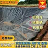 Geomembrana de barrera de filtración para exportación estanque de cristalización de sal marina estanque de relaves geotextil cubierta de vertedero geomembrana de HDPE estándar americano