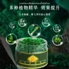 Venta al por mayor del fabricante Cuentas de Citronela India Aromaterapia para Plantas de Interior Caja Mágica Repelente de Mosquitos Anti-Picaduras