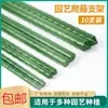 Biela de Tomate Varilla de Soporte Estante para Verduras Jardinería Fijación de Plantas Verdes Estante para Flores de Rosa Soporte para Berenjena Auxiliar