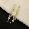 Pendientes Largos de Plata 925 con Aguja, Brillantes de Imitación Coreanos, Populares en Internet, de Alto Sentido, con Borla Exagerada, Pendientes de Circonita, Joyería para Orejas