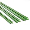 Treliça de Tubo de Aço Revestido de Plástico Feita Sob Medida para Plantas Trepadeiras como Melão, Uva, Feijão, Tomate e Vegetais
