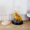 Flor Preservada Cobertura de Vidro Blocos de Construção de Argila Enfeites de Mesa Cobertura de Vidro Transparente Tampa contra Poeira Base para Enfeite Atacado