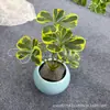 Hojas de Copo de Nieve Artificiales, Hojas de Higuera en Forma de Corazón, Adornos Decorativos para Alojamiento en Casa, Trébol de Cuatro Hojas Estilo Bosque con Hojas Verdes, Plantas Verdes Artificiales