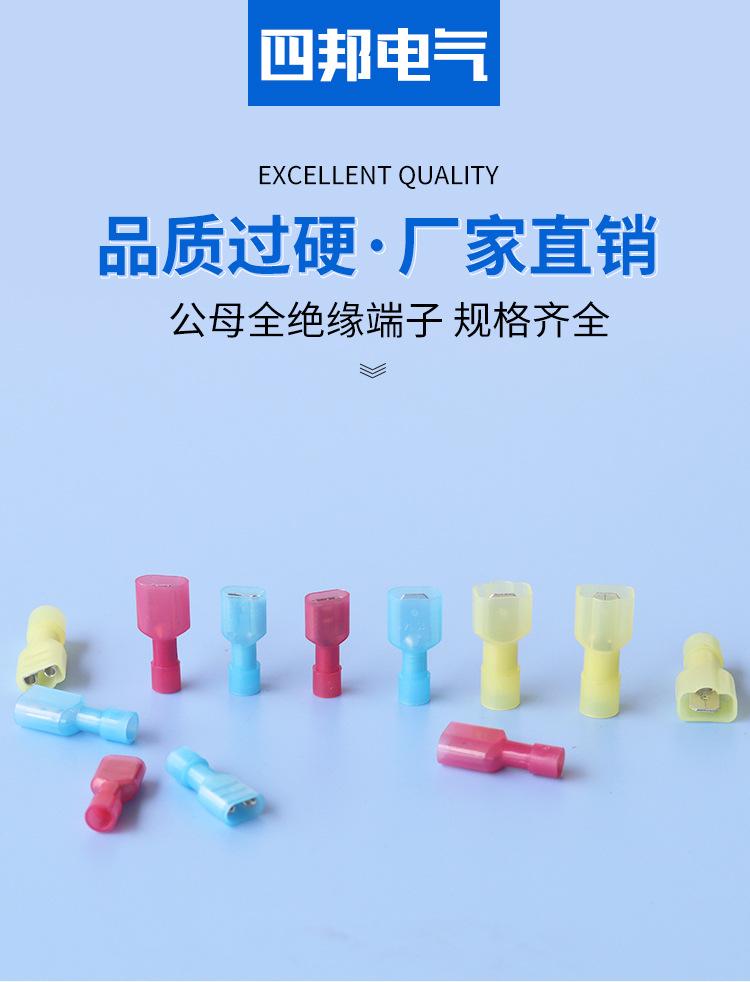 四邦-公母全绝缘端子_01.jpg