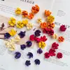 Materiales DIY de Piñas, Segmentos de Madera, Decoraciones Creativas para Hoteles, Ramas Secas, Fabricación de Frutas, Muestras Decorativas Suaves, Piñas, Plantas Decorativas