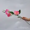 Eustoma grandiflorum 3 cabezas 6 cabezas platycodon grandiflorum paquete platycodon grandiflorum decoración del hogar boda diseño de sala de bodas guía de camino flores de seda hechas a mano