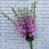 Novo delfínio artificial Quênia grande andorinha roxo branco violeta casamento casa decoração da sala de estar flor falsa