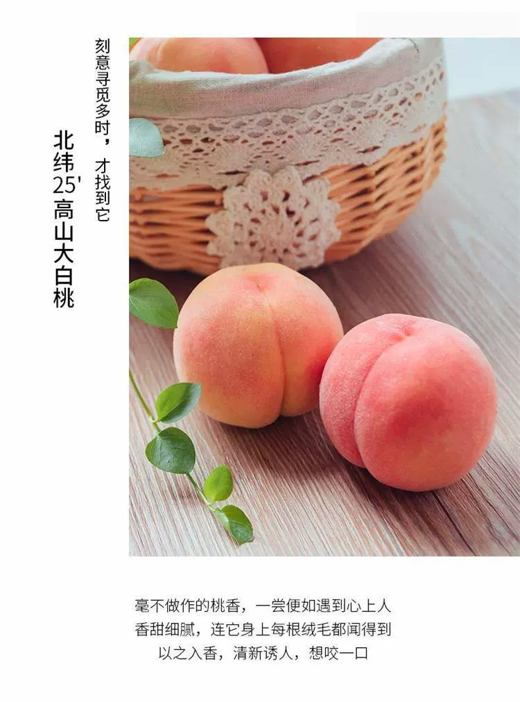 详情图片_ (5).jpg