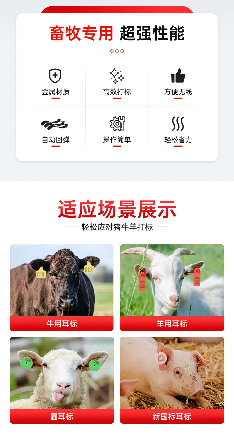 详情3333_02.jpg