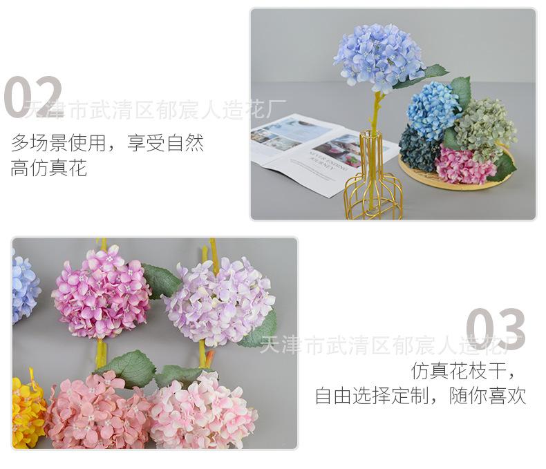 详情_11.png