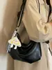Bolso bandolera de diseño de nicho de alta gama con correa ancha para mujer, nuevo bolso de hombro de moda 2026 para commuting