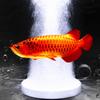 Acuario Nano Placa de Aire Piedra de Burbujas Oxigenada Acuario Refinador de Aire Acuario Cabeza de Aire Bajo Mesa de Arena