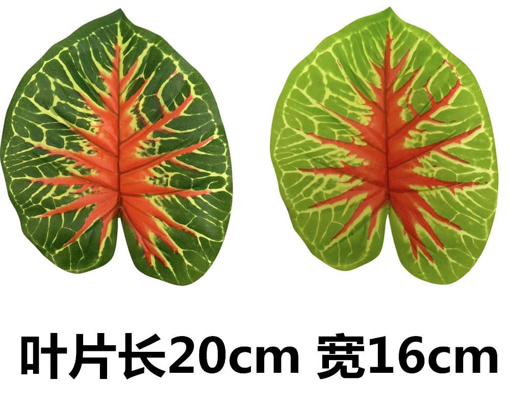 未命名_副本24