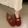 Zapatos Mary Jane Resistentes al Viento 2026 Nuevo Estilo Zapatos Peludos para Otoño e Invierno con Forro de Felpa Mocasines Planos con Encanto de Hada