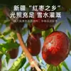 Qili Xiang Bolsa de 250g Dátiles Grises de Xinjiang Xinjiang Snacks Especiales Dátiles de Fruta Seca Listo para Comer Dátiles Rojos de Xinjiang