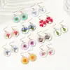 Ed Summer Nuevos Pendientes Redondos de Flores Secas Reales Color Joker Simple Pendientes Frescos Gotas de Pegamento Natural Hecho a Mano