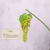 Decoración de Racimo de Uvas Moradas y Verdes Artificiales Hojas de Plástico Falsas de Árbol Vid Fruta Cadena Colgante Patio Flor de Seda Fruta