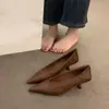 Sapatos de Salto Agulha Apontados de Luxo de Nicho para Mulheres, Estilo Francês para Primavera e Outono, Moda para Ir ao Trabalho à Noite, Sapatos de Vovó