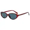 Nuevas Gafas de Sol Ovaladas Estilizadas de Nicho Cat-Eye Europeas y Americanas para Mujer 2026, Protección UV, Elegantes Gafas de Sol Y2K