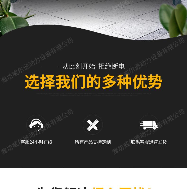 潍柴250千瓦发电机组_02.jpg