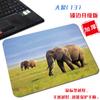 [Uma geração de cabelo] pequeno simples simples natural bloqueio borda mouse pad quadrado bonito elefante pano tapete de computador antiderrapante