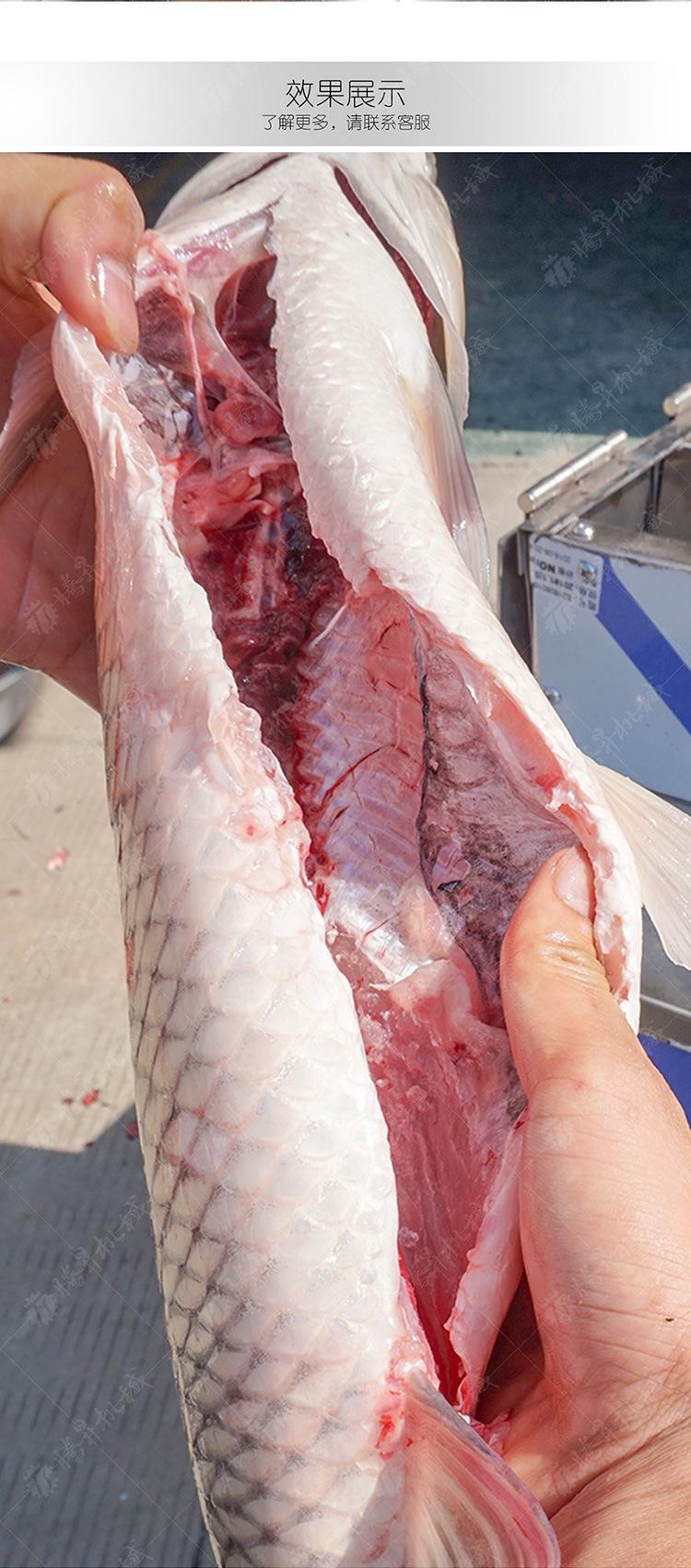 TS-SC1000-自动杀鱼机-详情页(750px)_03.