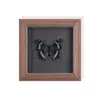 Set de Regalo de Espécimen de Mariposa Real para Mujeres, Decoración 3D, Regalo para Amigos, Materiales Didácticos, Marco de Fotos Sencillo