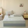 Shu Zun Ke Otoño/Invierno Dibujos Animados Estilo Simple Más Terciopelo Estilo Engrosado Terciopelo de Leche Bordado Burnout Artículo Único Sábana Bajera