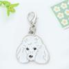 Nuevo Llavero Metálico Creativo de Nicho Perro Mascota Dibujo Animado Lindo Colgante Cierre de Langosta Encanto para Bolso Venta al por Mayor