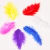 Decoración de fiesta de cumpleaños infantil Diseño Puesto luminoso de mercado nocturno Red Social Relleno de bola Bobo con plumas al por mayor